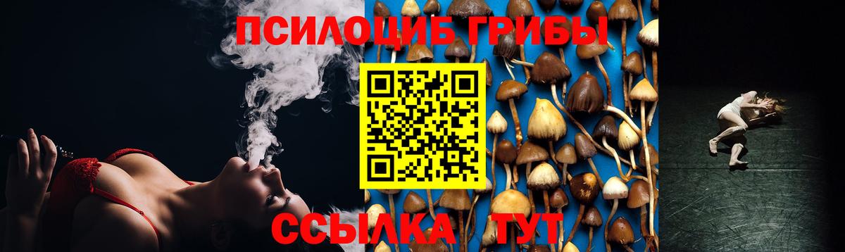 Псилоцибиновые грибы Cubensis Саратов