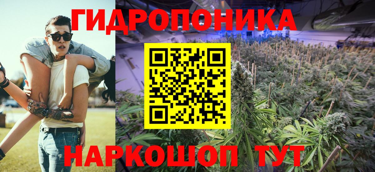 Бошки марихуана план  Вход с VPN  Саратов  Марихуана Bruce Banner  Бошки Шишки Amnesia  Марихуана LSD WEED 